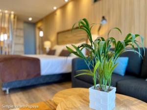 pupuya_suite_1_piso-6